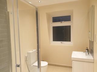 London Luxury 3 bedroom 2 bathrooms flat 1 min to Redbridge Station FREE parking & WIFI - Wanstead - 1