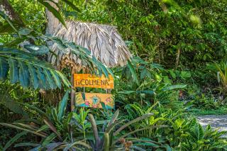 Casa la Colmena - Cahuita - 9