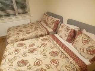 London Luxury Apartment 3 Bed 1 minute walk from Redbridge Stn Free Parking - 9