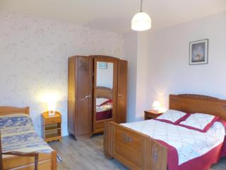 Maison indépendante près du village médiéval avec jardin clos, parking et équipements complets - FR-1-489-15 - Hérisson - 4