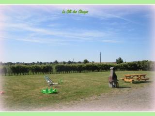 Charmants chalets au bord du lac avec terrasse, activités nautiques et pêche, animaux acceptés, tout inclus - FR-1-489-361 - Pierrefitte-sur-Loire - 9