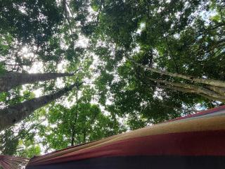 AsiaCamp - Chalet Sungai Sireh - Tanjung Karang - 3