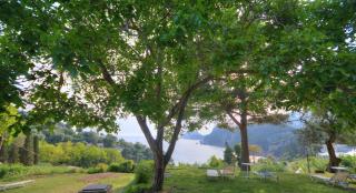 Anna Pension - Liapades - 8
