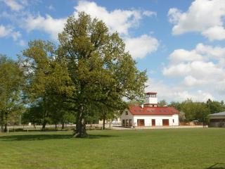 Hostel Pritsukas - 8