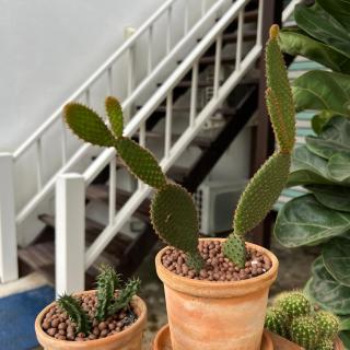 Sawaddeethaweesuk At Kohlarn - 6