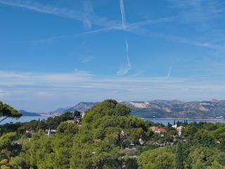 Villa Stanović Tea - Cavtat - 3