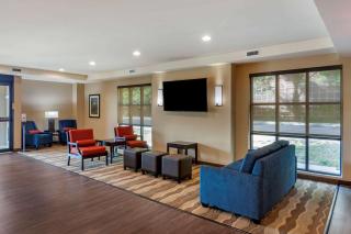 Comfort Inn & Suites - Charlottesville - 8