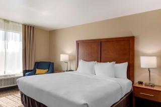 Comfort Inn & Suites Charlottesville Hollymead Town Center - 5