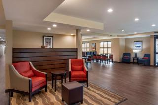 Comfort Inn & Suites - Charlottesville - 6