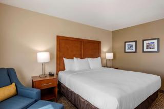Comfort Inn & Suites - Charlottesville - 3