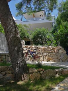 Apartments Janči, Murter (Croatia) - Murter - 1