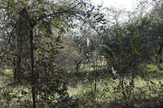 Cottage@Injabulo - 1