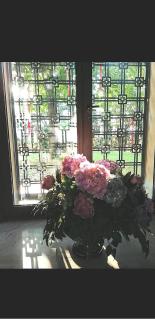 B&B Villa delle Palme - Carpi - 2