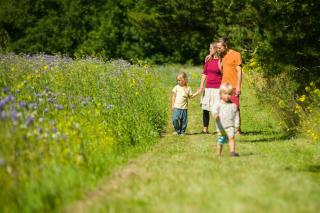 LOasen Vesterhede - 4