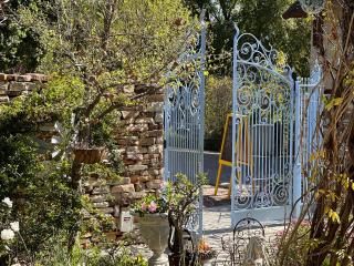 Yellow Aloe - Clanwilliam - 7