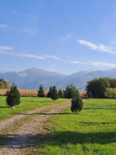 La Izvoare Pensiune-Păstrăvărie - Sâmbăta de Sus - 7