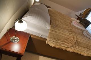 Hotel Gold Chotoviny - 9