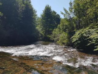 Gîte de charme avec jacuzzi étang babyfoot et rivière - - 7