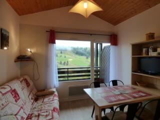 Studio lumineux + coin montagne, 4 pers, Samance, Le Grand-Bornand - FR-1-458-173 - Le Grand-Bornand - 0