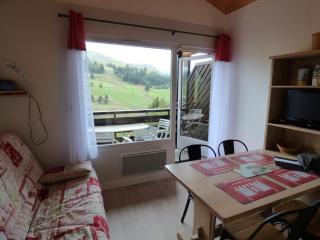 Studio lumineux + coin montagne, 4 pers, Samance, Le Grand-Bornand - FR-1-458-173 - Le Grand-Bornand - 5