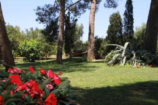 Agriturismo La Ronca - San Vincenzo - 1