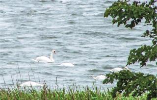 2 Bedroom Cozy Home In Osieki - 1