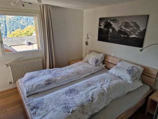 Chalet Viola - Verena's Loft - Wengen - 1