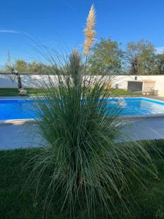 Villa Felicita - Umag - 2