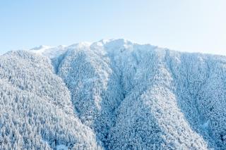 The Shepherds Hut - boutique retreat. - Hanmer Springs - 5