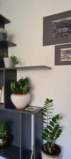 Ioana Apartment Resita - 2