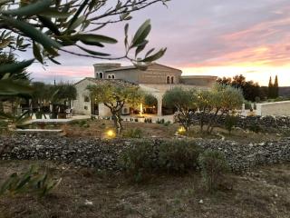 Luxury Villa in front of the famous Pont-du-Gard. - Castillon-du-Gard - 9
