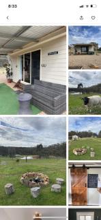 Tiny Home on a Hill - Heathcote - 6