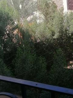 Winter Guest House - Luxor - 6