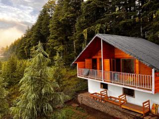 The Roots Homestay - Almora - 0