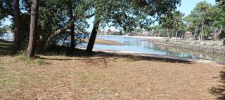 chalet Le Ticaco Soustons plage avec WiFi satellite - Soustons - 1