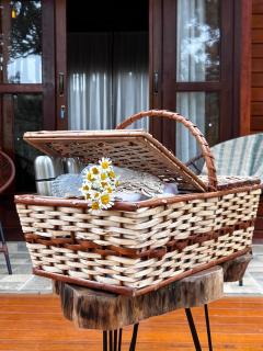 Pousada Maçã Araucária - 3