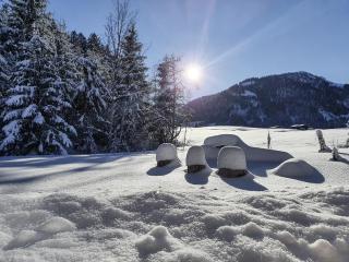 Zeitfrei Chalet Apartments - 6