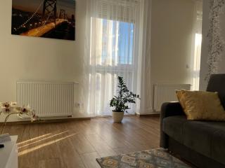 Apartamenty Kielce-Apartament przy lesie, parking, f vat - Kielce - 6