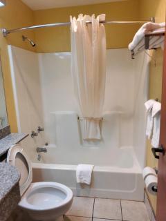 Microtel Inn & Suites by Wyndham Gatlinburg - Gatlinburg - 3