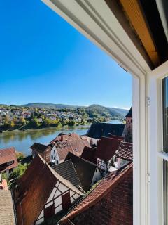 Neckarblick,Natur, Altstadt - Hirschhorn - 6