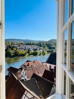 Neckarblick,Natur, Altstadt - Hirschhorn - 9