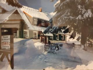 Ferienhaus am Rennsteig-Pension zur Wetterwarte - Brotterode - 8