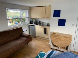 Old Ferry View - Bristol - 9