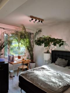 Paradise apartment - 2
