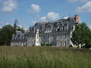 Gîte de charme avec piscine chauffée et sauna, au cœur d'une propriété historique en Val de Loire - FR-1-381-128 - 9