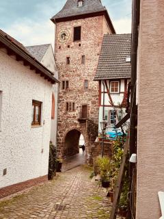 Luftkurort, Perle des Neckartals - Hirschhorn - 3