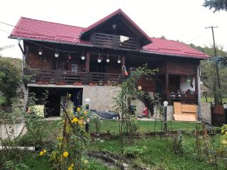 Cabana Trei Brazi Dambovita - Bezdead - 0