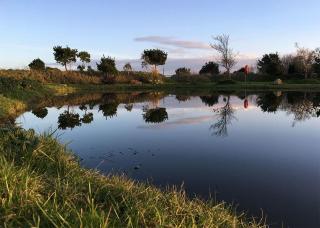 Monkey Tree Holiday Park - Newquay - 8