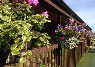 Monkey Tree Holiday Park - Newquay - 7