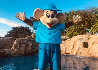 Monkey Tree Holiday Park - Newquay - 3